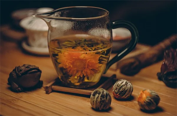 南西部 つる植物 おすすめ5選！耐暑性に優れた品種で失敗しない
