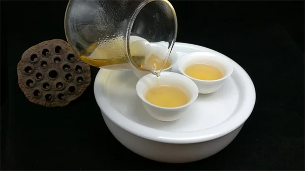 リス対策に棒を使うだけ！実際に試した効果とコツ