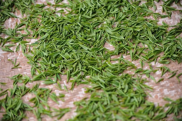 野菜と花を一緒に鉢植え！観賞用も食用も楽しむ3つの簡単なコツ