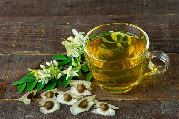 植物の成長方向を解明！重力の謎と自宅でできる実験