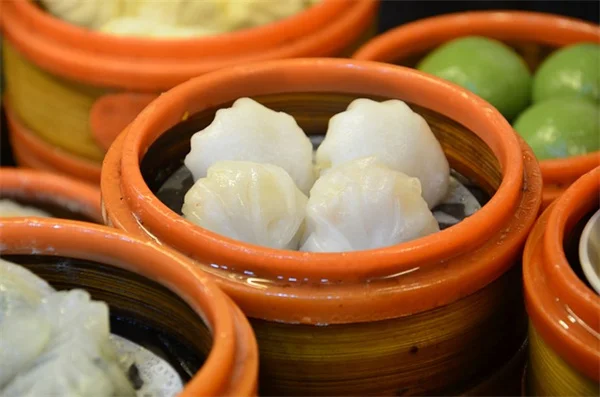 寒さに強い野菜は本当に霜に耐えられる？私が実際に-5℃で育てたケールが教える真実